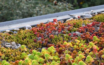 the cost of Wester Meathie green roof installation
