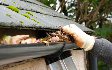 gutter cleaning Wester Meathie, Angus