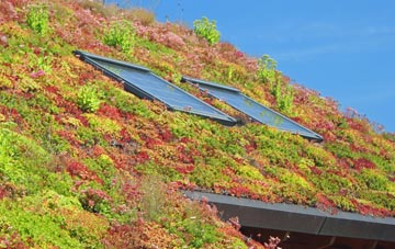 Wester Meathie living roof systems
