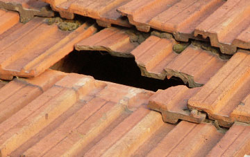 roof repair Wester Meathie, Angus