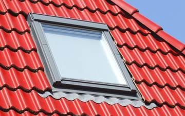 roof windows Wester Meathie, Angus