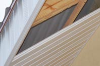rated Wester Meathie soffit repair companies